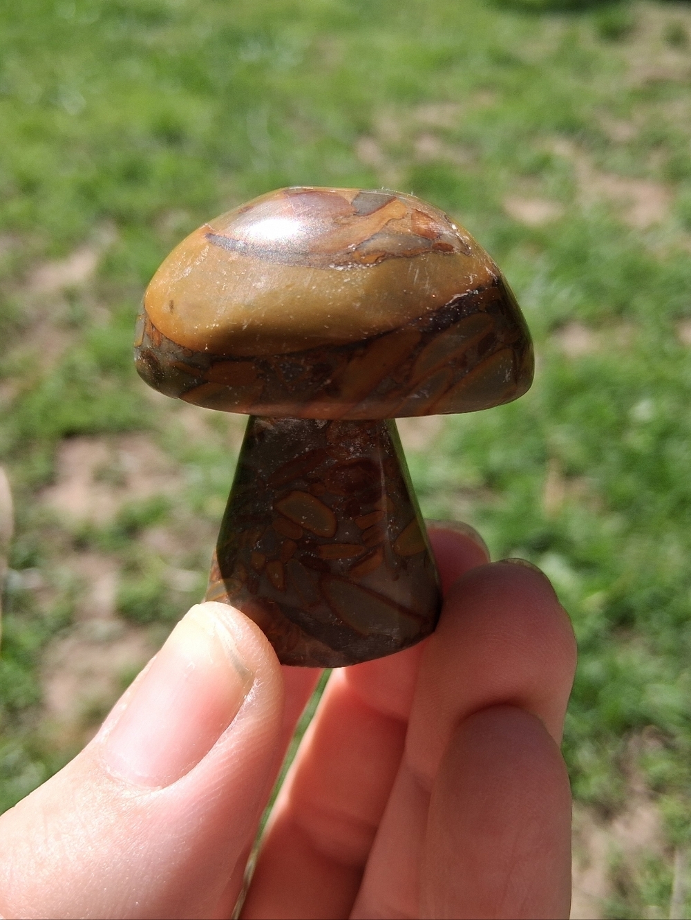 Polychrome Jasper Mushroom Crystal Healing Funky 44mm